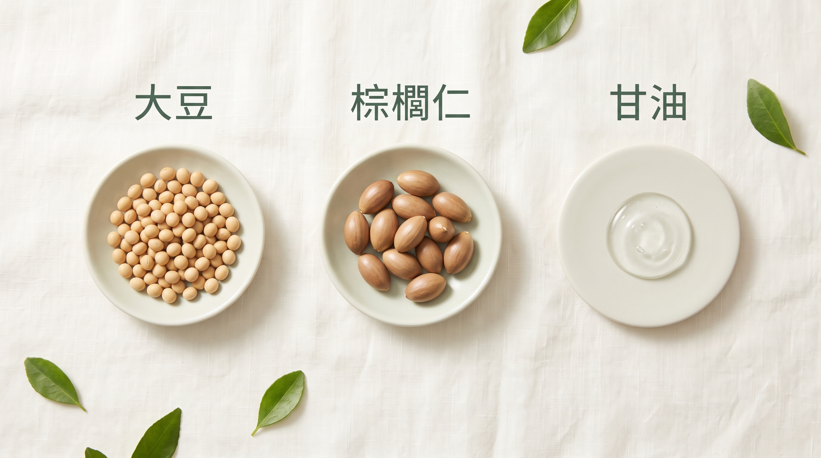 大豆、棕櫚仁與植物性甘油三項植物來源成分