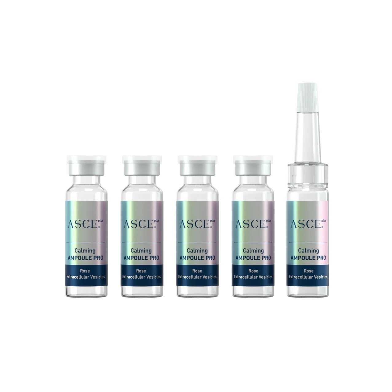 ASCE+ Calming AMPOULE PRO 玫瑰外泌體安瓶（1盒5支)