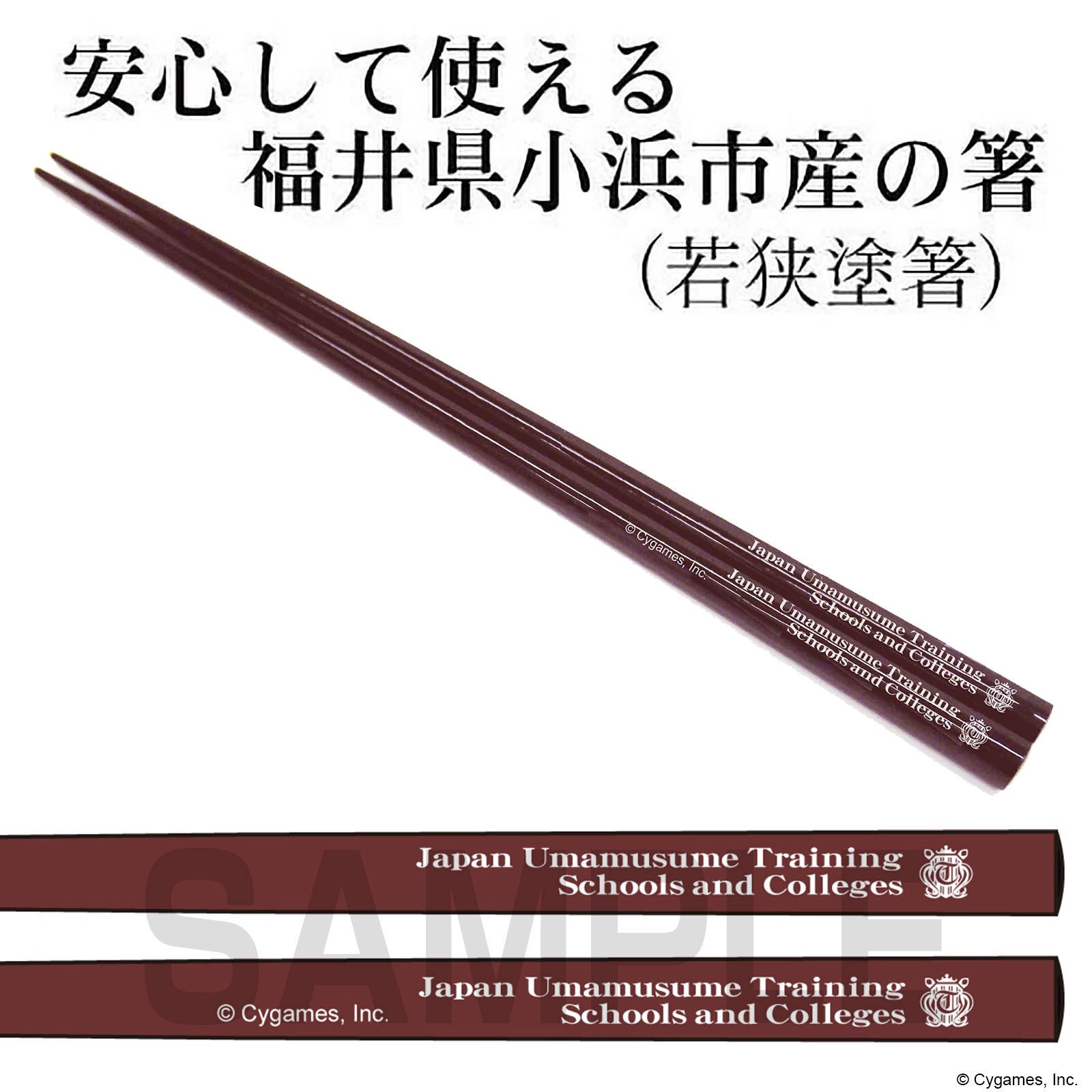 ﾄﾚｾﾝ学園校章入り 箸 COSPA 090726