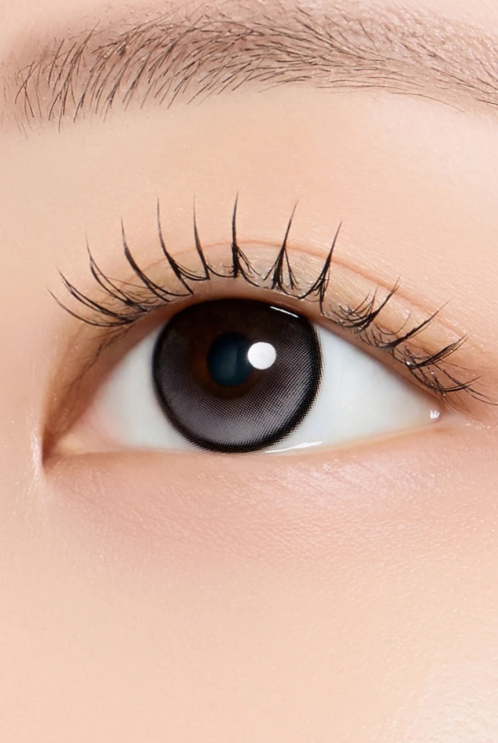 Stay Pretty Kristin 1 Day (Teary Black)(10片)