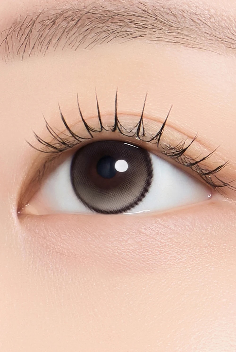 Stay Pretty Kristin 1 Day (sweet beige)(10片)