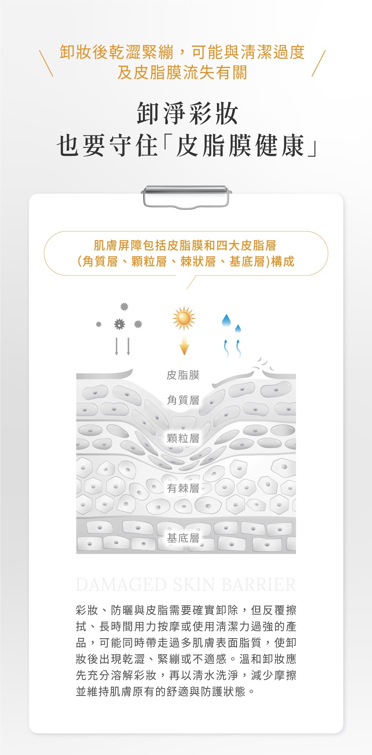 維持健康肌膚屏障，改善膚況不穩與乾燥現象