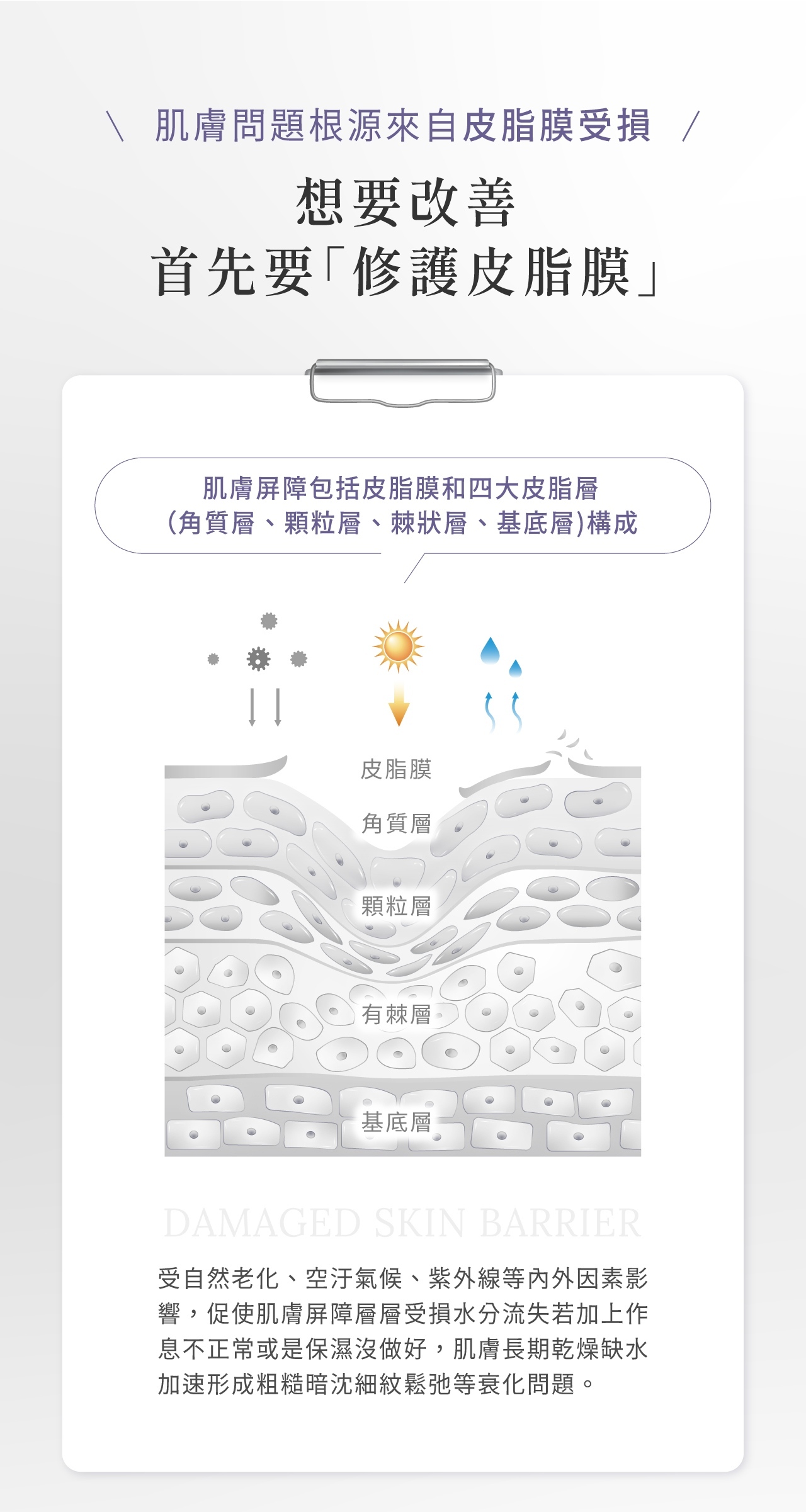 有效快速降溫舒緩,維持肌膚角質層健康含水量