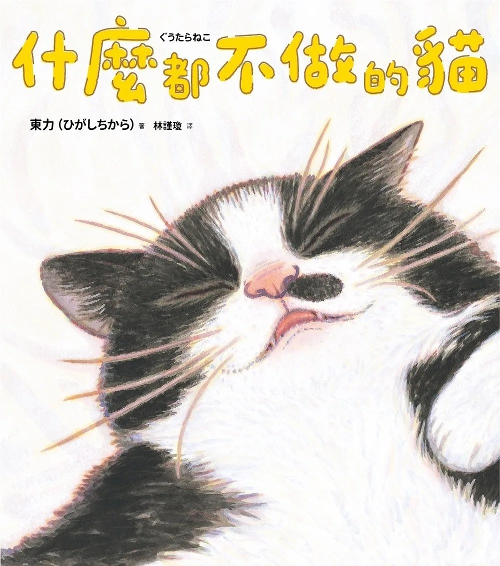 什麼都不做的貓