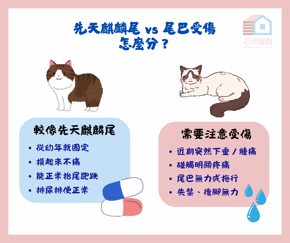 麒麟尾與受傷的分辨方法
