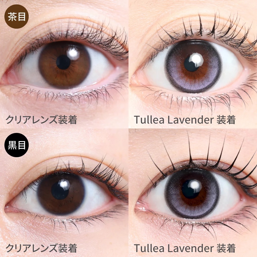 [固定高光] TeAmo 1 Day AQUERE SERIES Tullea Lavender｜日拋彩妝隱形眼鏡｜每盒10片