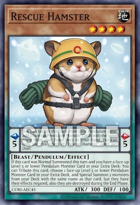 CORI-AEC45 Rescue Hamster (N)