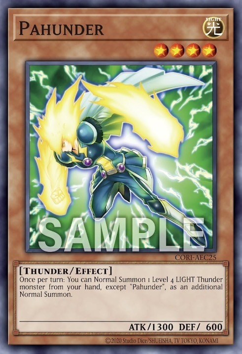 CORI-AEC25 Pahunder (N)