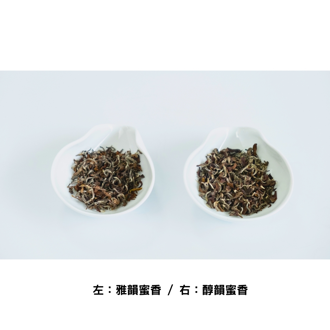 雅韻蜜香與醇韻蜜香外觀比較