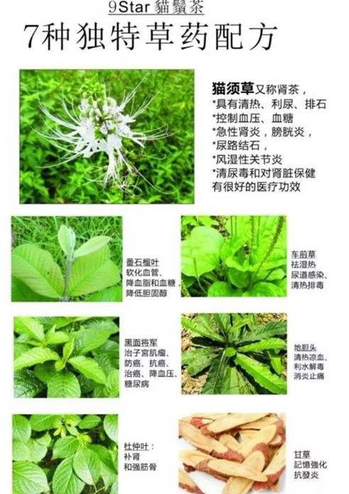 9 STAR 貓鬚茶 2g x 60包