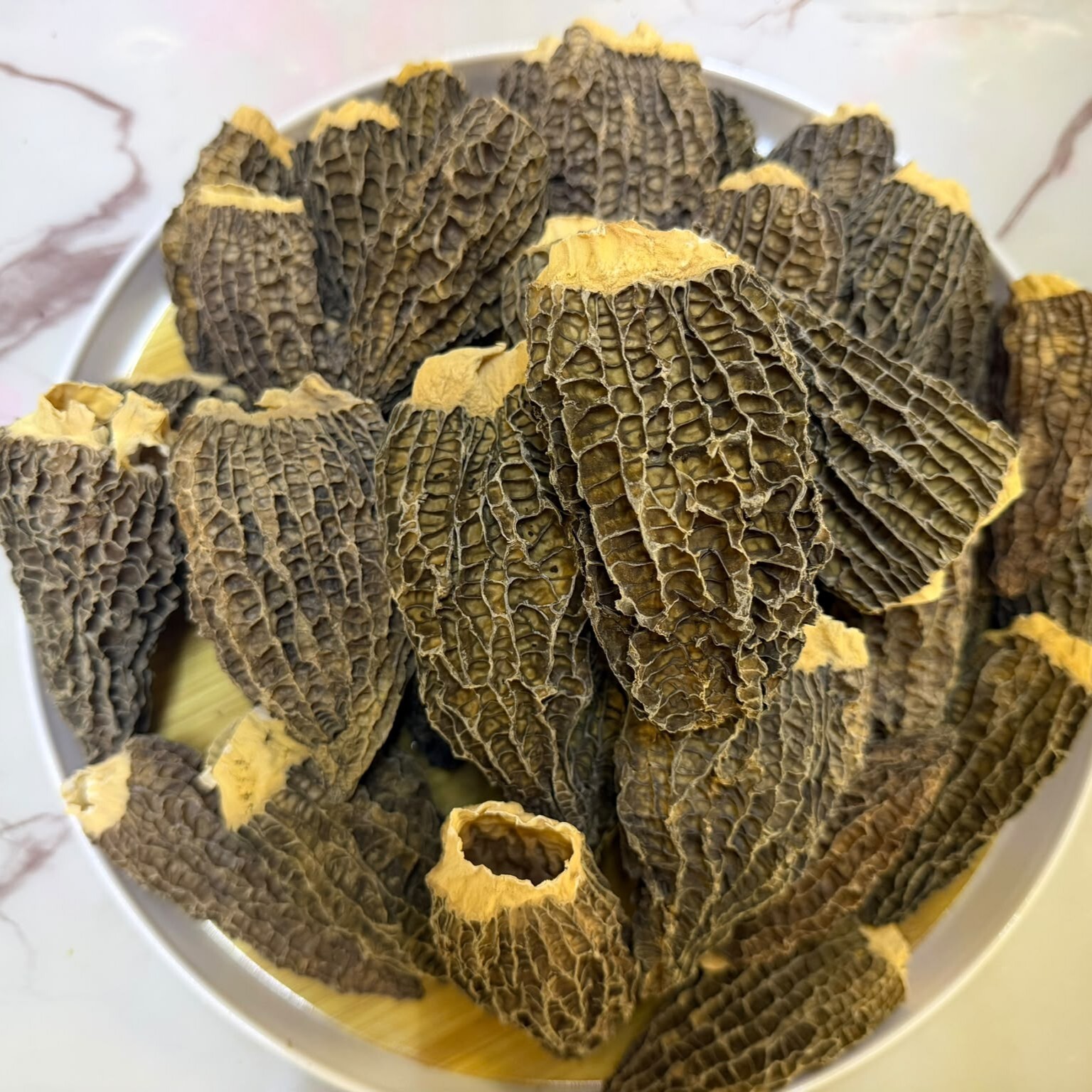 特大羊肚菌