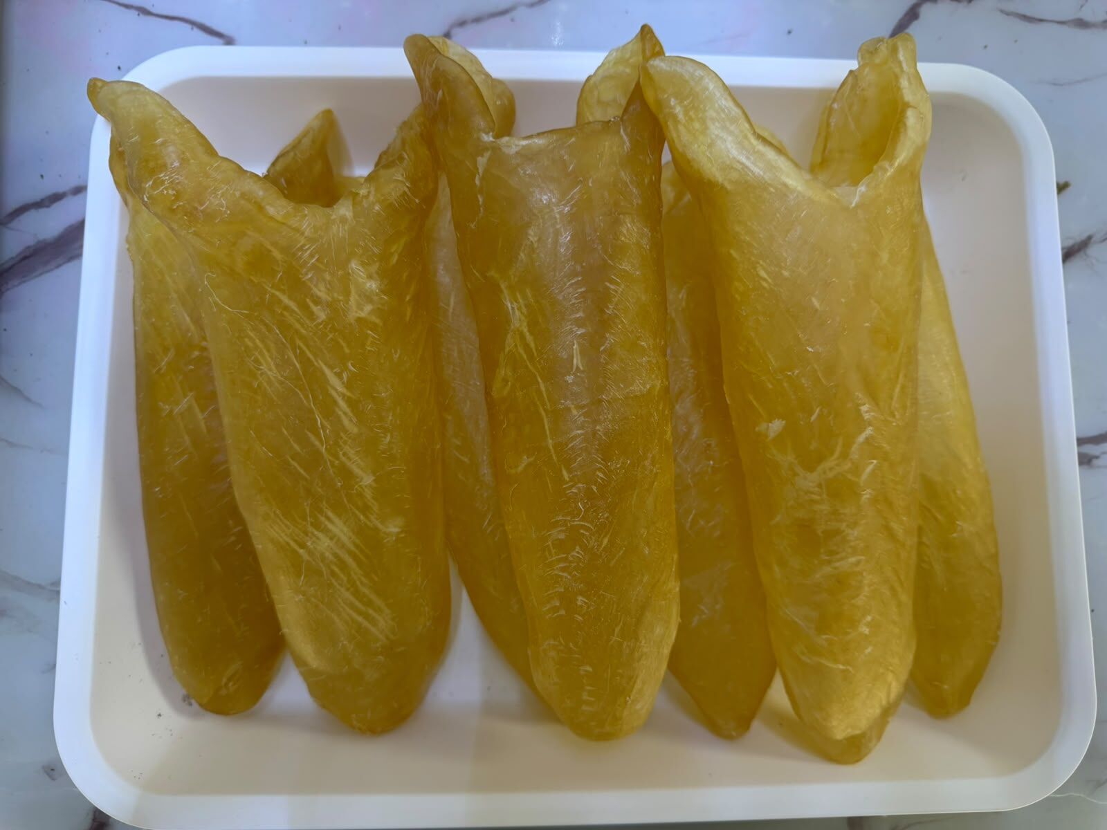 A23 花膠筒 一斤 (約6-9隻)