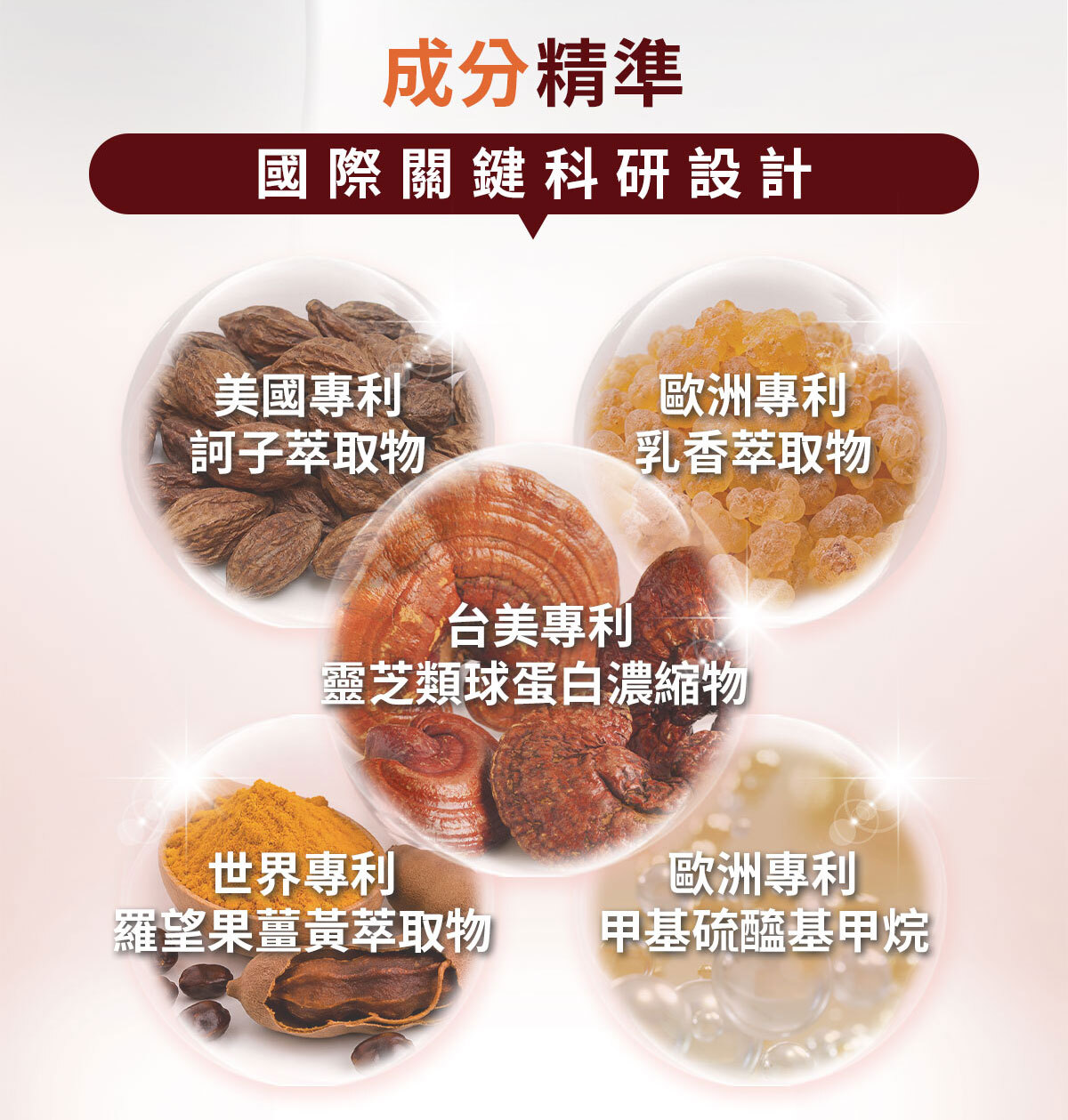 嚴萃生醫方順吉好蓋順長版-12