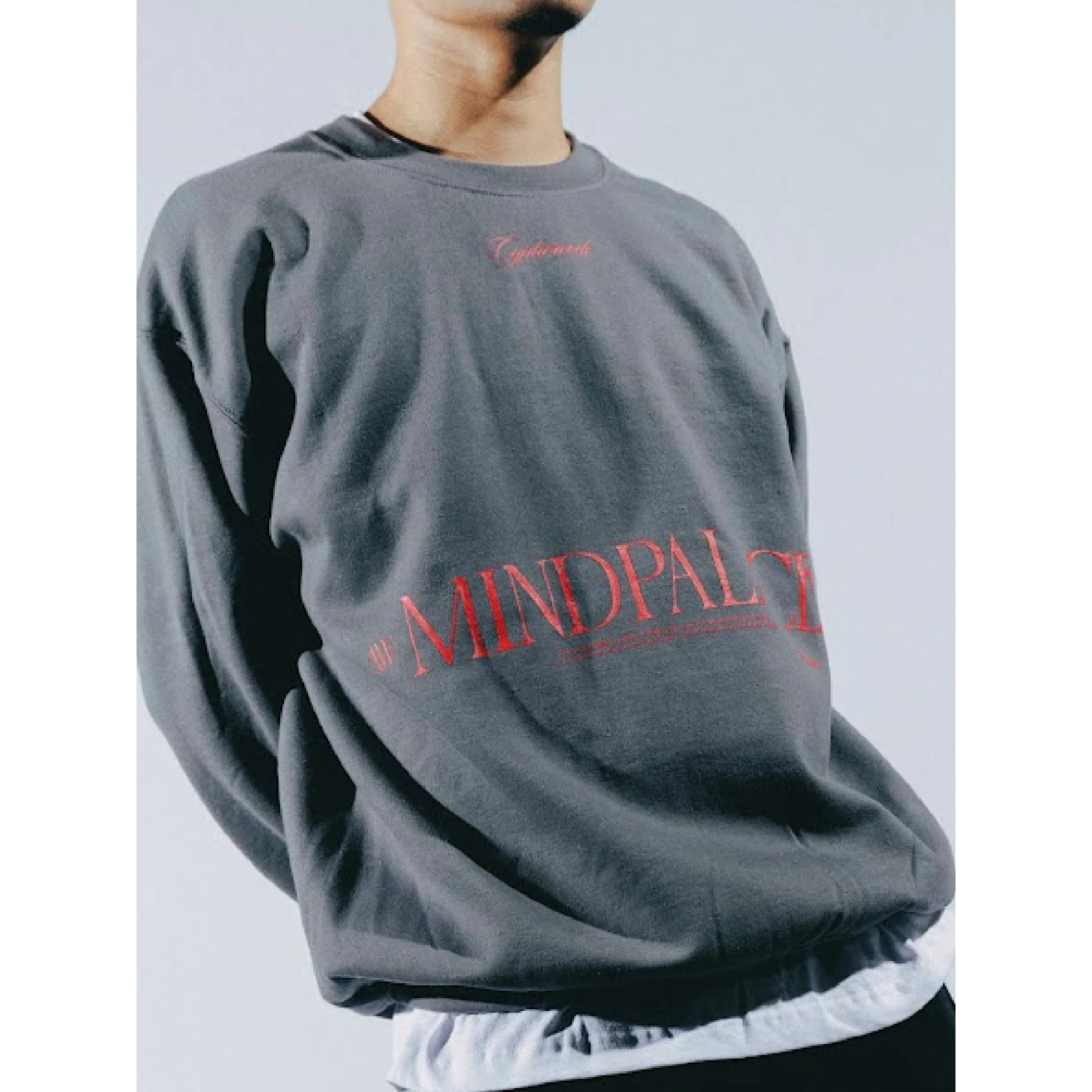 Cyphercode Mind Palace Crewneck Sweat 主題圓領大學Tee