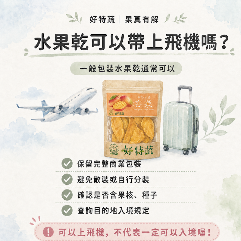 果乾可以帶出國嗎？可以帶上飛機嗎？