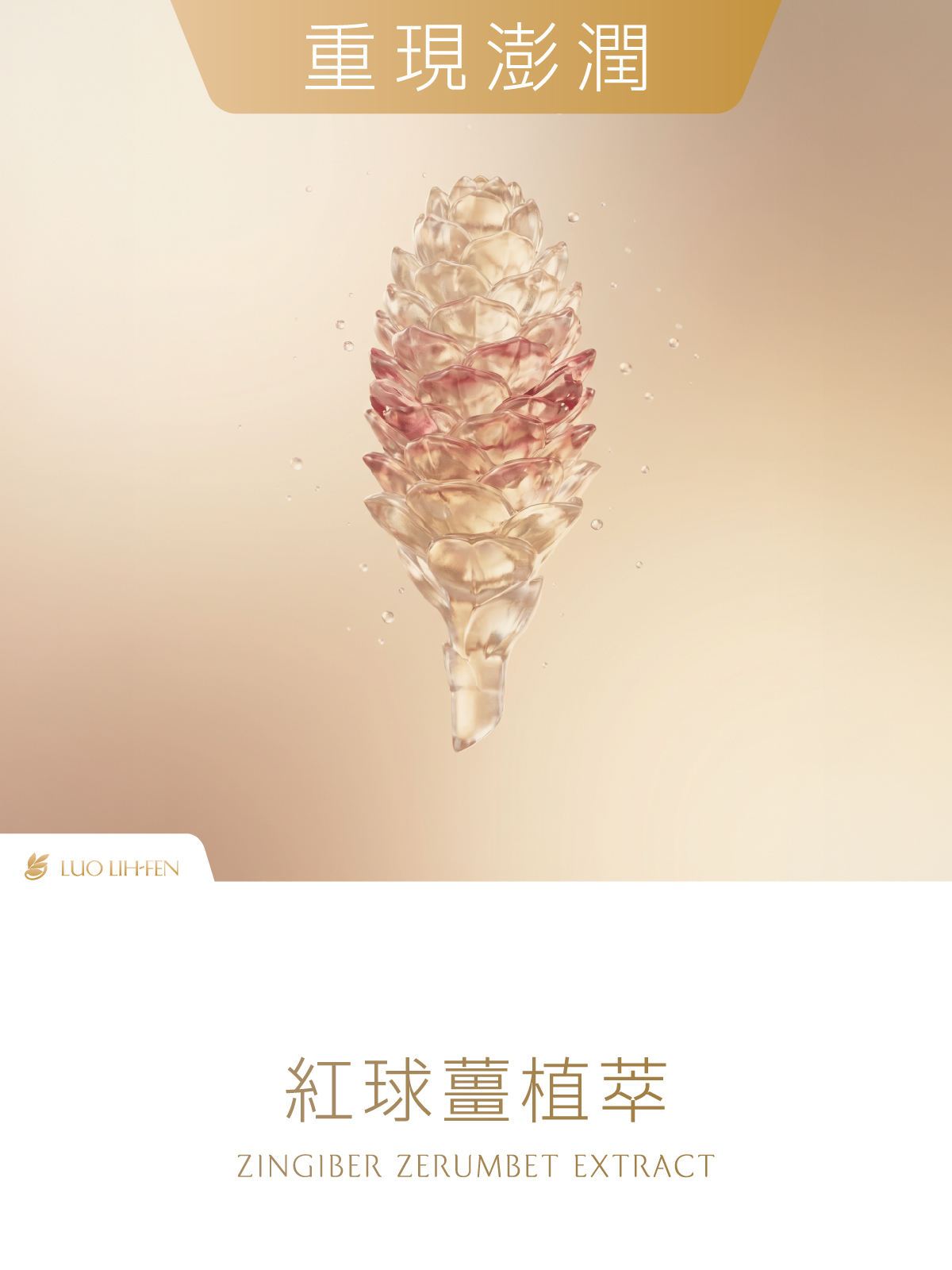 青春霜背景