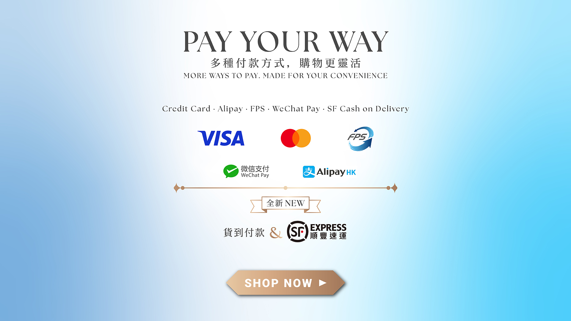 dddim payment method