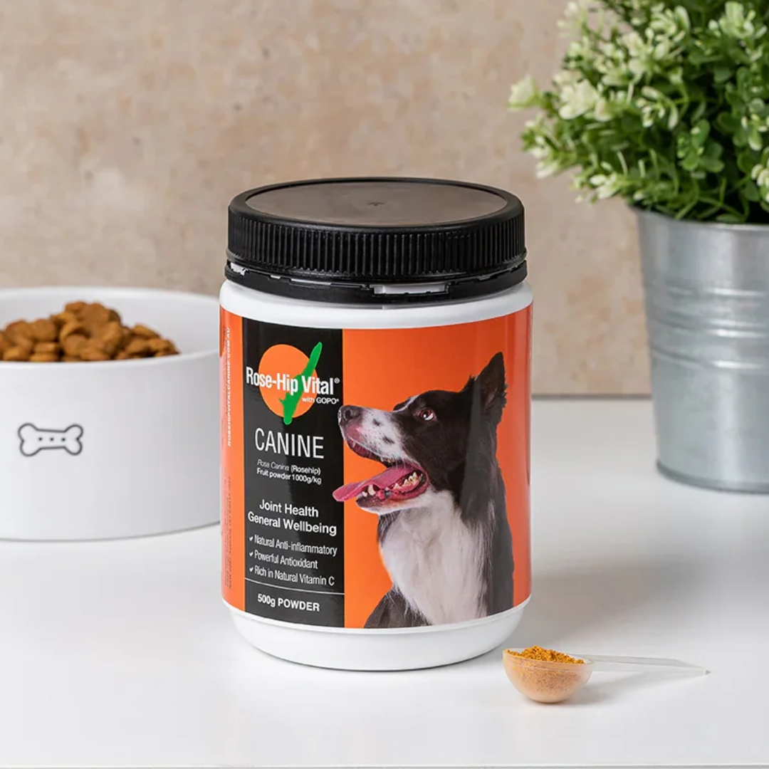[代訂] Rose-Hip Vital 澳寵瑰寶 犬隻健康營養補充劑 150g / 500g / 1.5kg