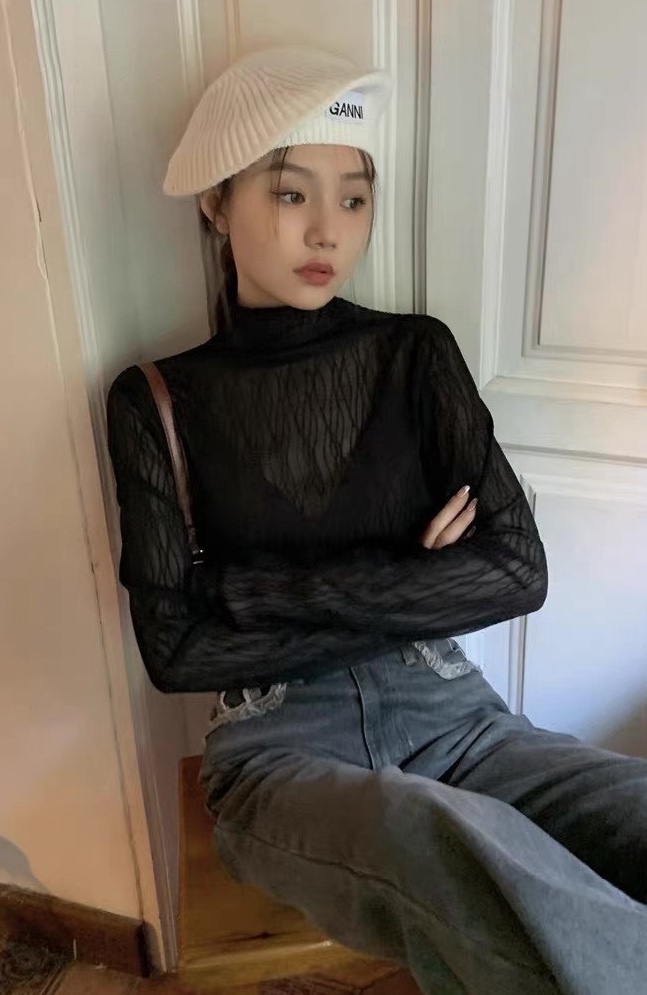 高領紋路網紗透膚上衣