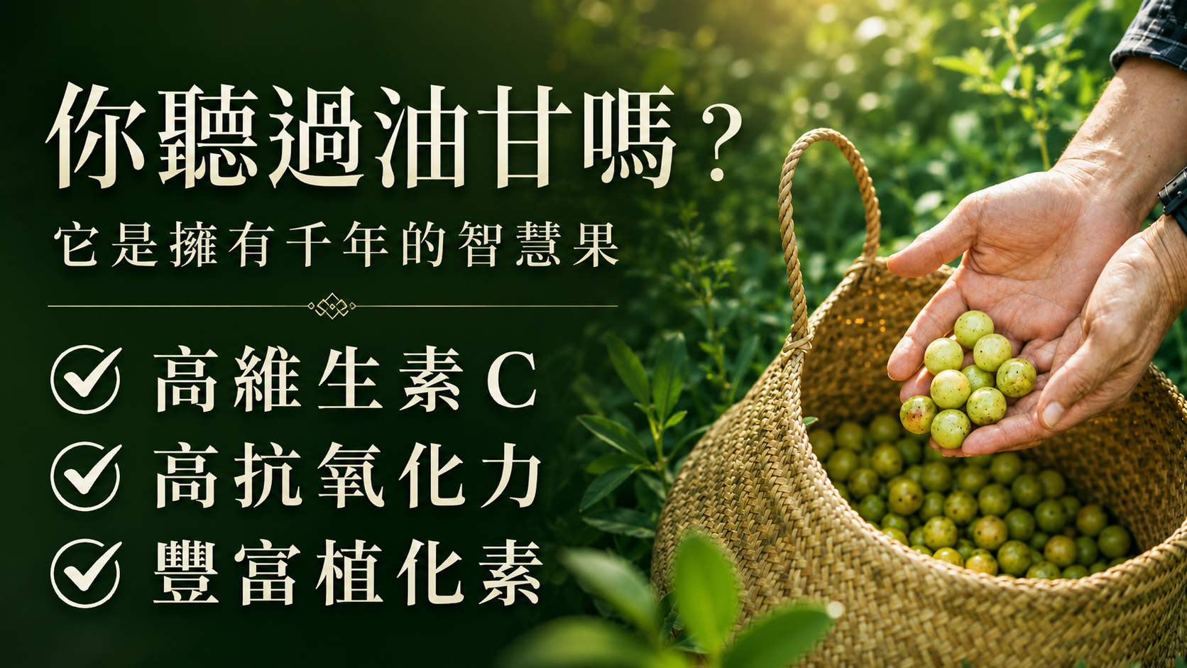 樹重奏苗栗銅鑼自家MOA有機驗證油甘農場