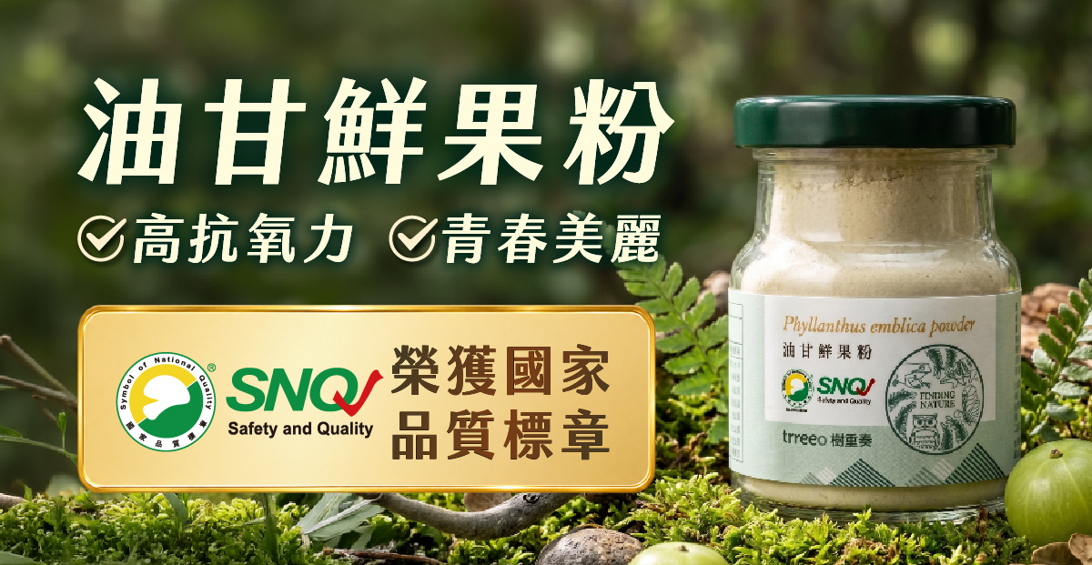 樹重奏油甘鮮果粉:100%純油甘精華、去籽真空冷凍乾燥