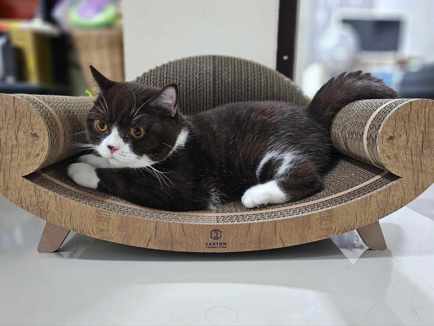 泰國 Carton Connection 貴妃椅貓抓板 (Purrline)