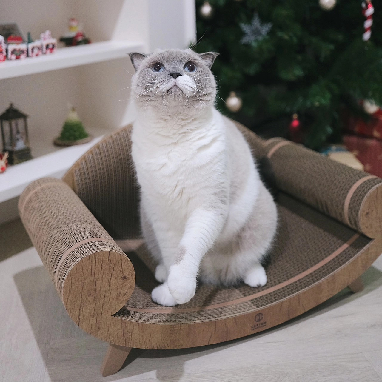 泰國 Carton Connection 貴妃椅貓抓板 (Purrline)