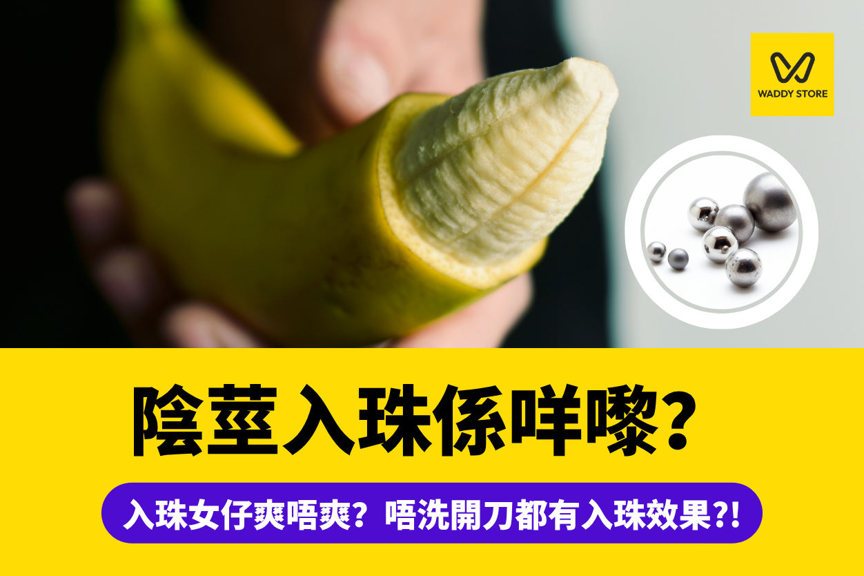 入珠-鑲珠-陰莖入珠意思