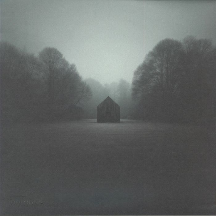 LSB《The Middle》（2LP）