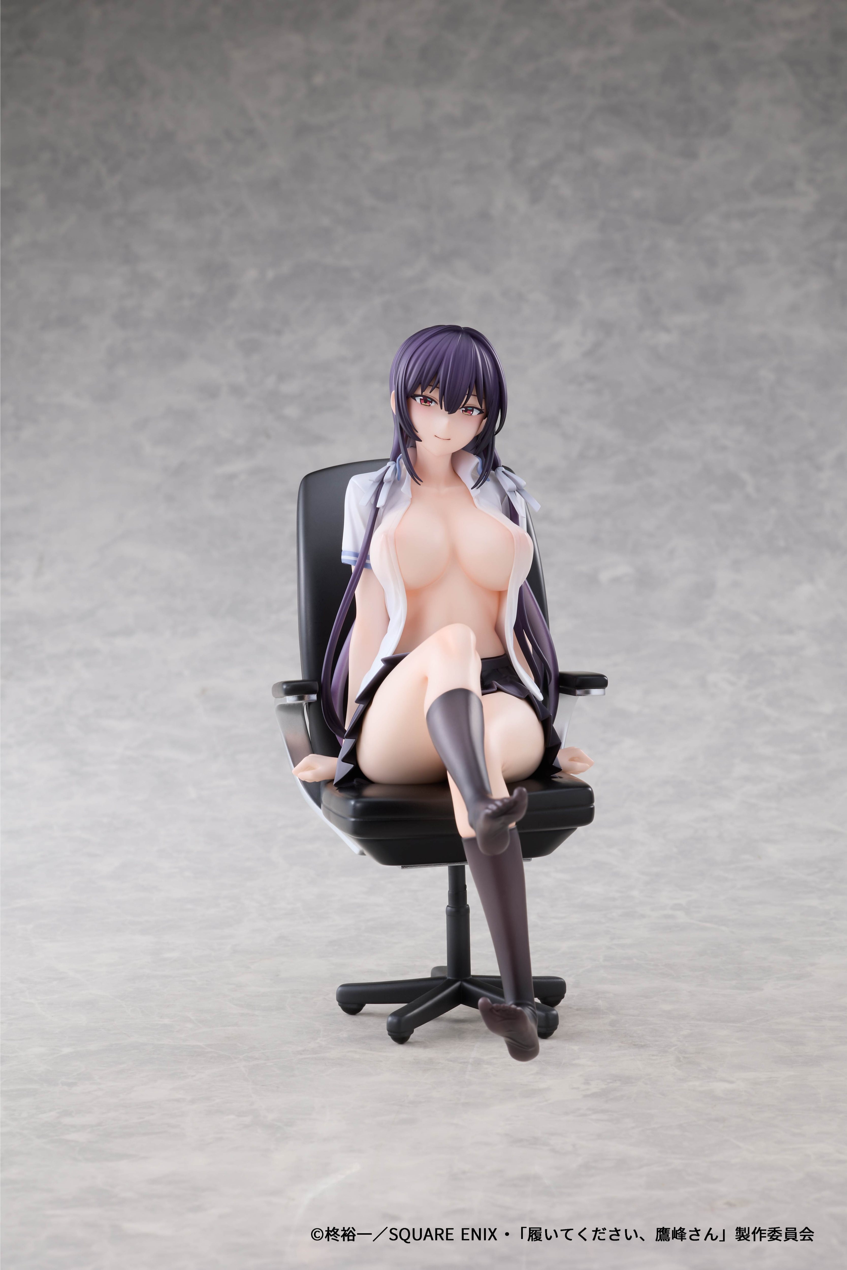 AFORCE x DRAGON HORSE "PLEASE PUT THEM ON, TAKAMINE-SAN" TAKANE TAKAMINE 1/6 SCALE FIGURE