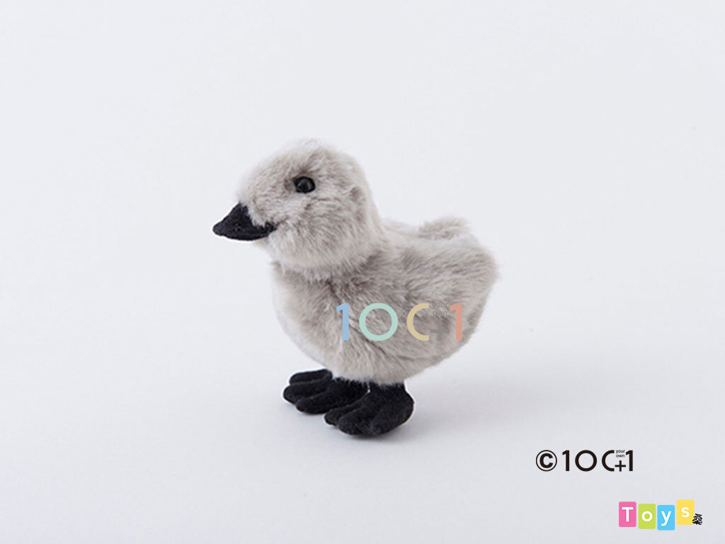 [100+1] SM251 天鵝寶寶