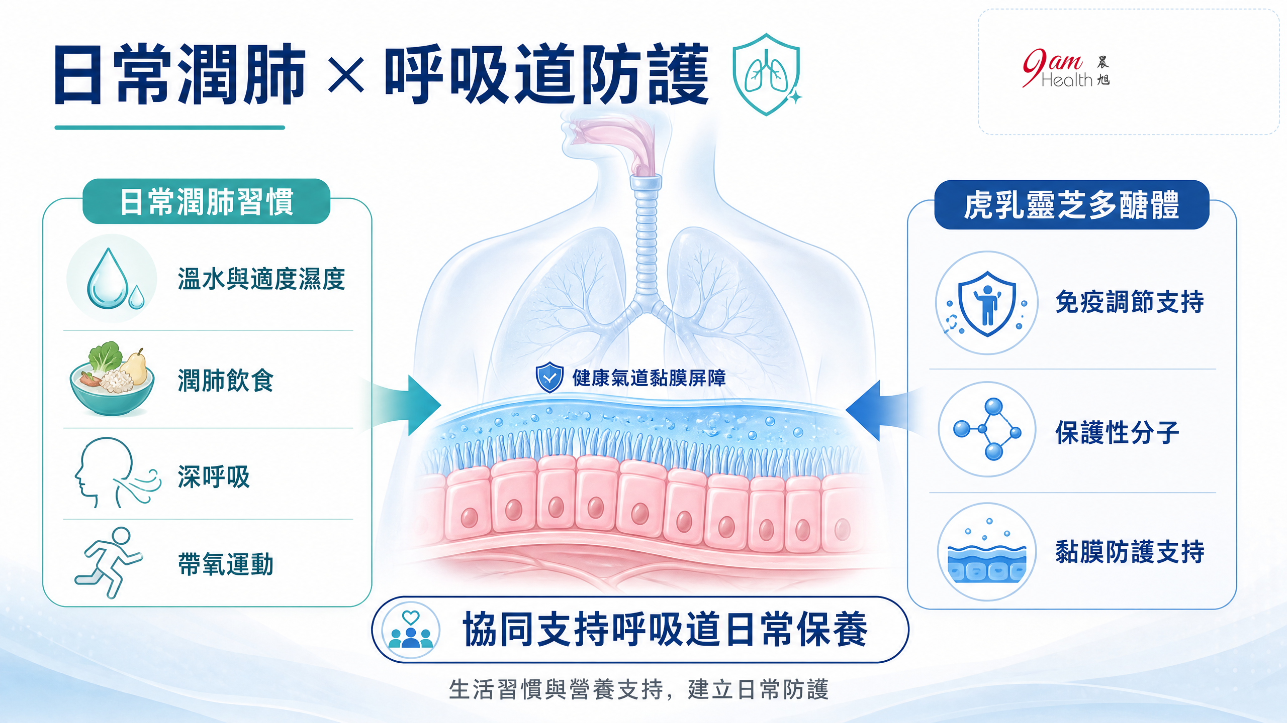 呼吸道黏膜修復與日常潤肺機制的科學醫療資訊圖解