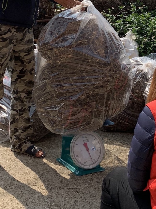 一條根過磅收購