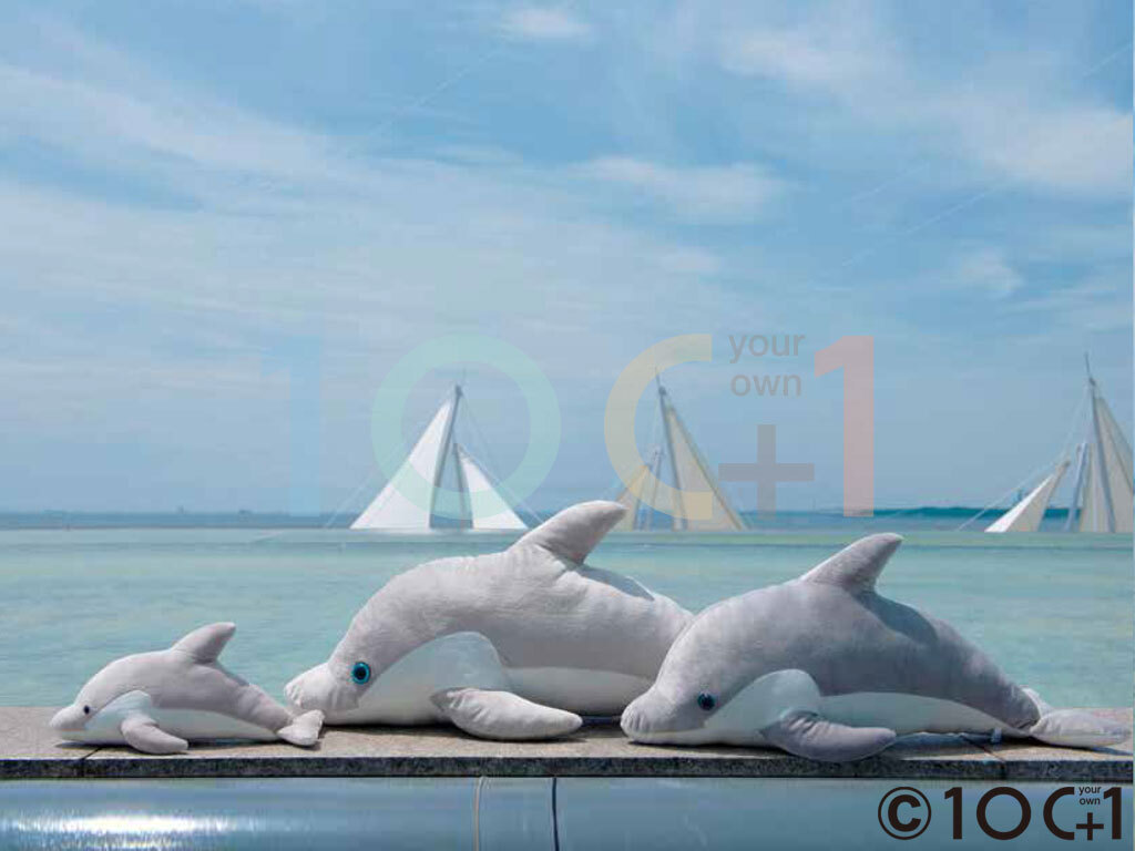 [100+1] SM209 海豚（L）