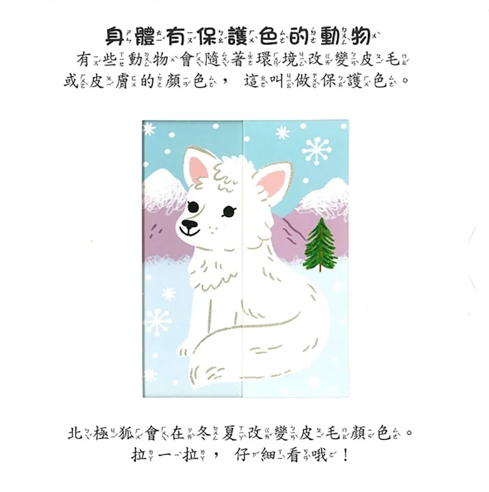 動物世界
