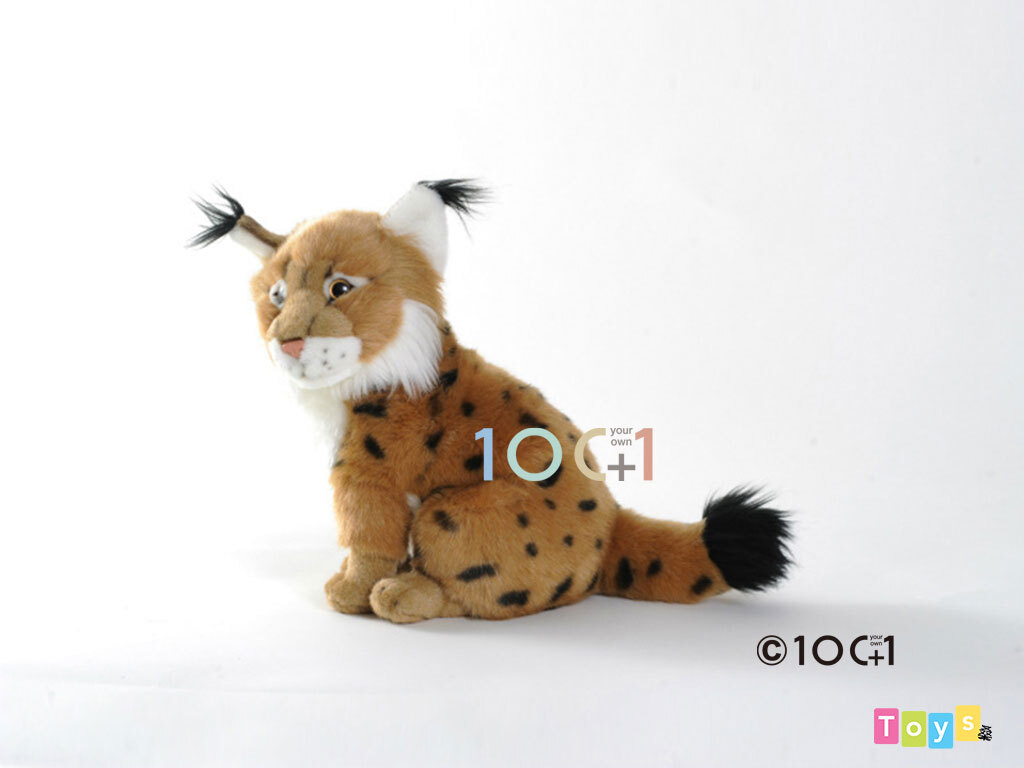 [100+1] SM065 山貓