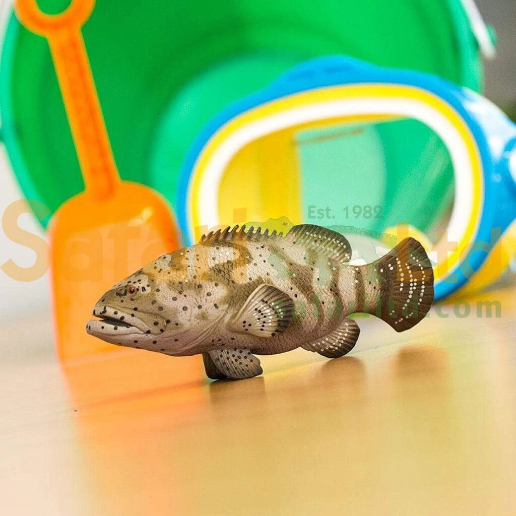 [Safari] 265329伊式石斑魚模型