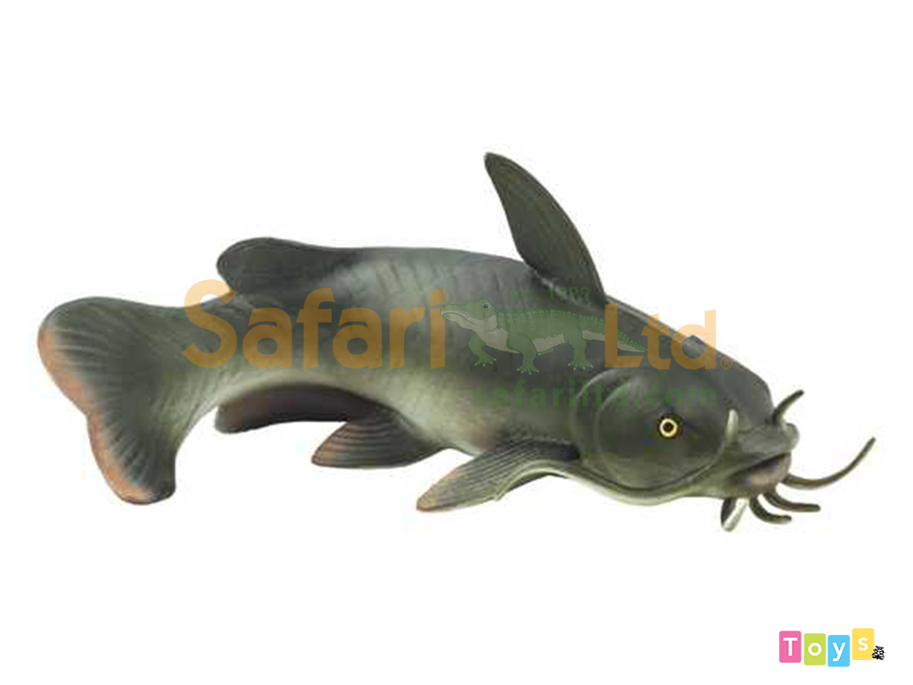 [Safari] 100362鯰魚模型