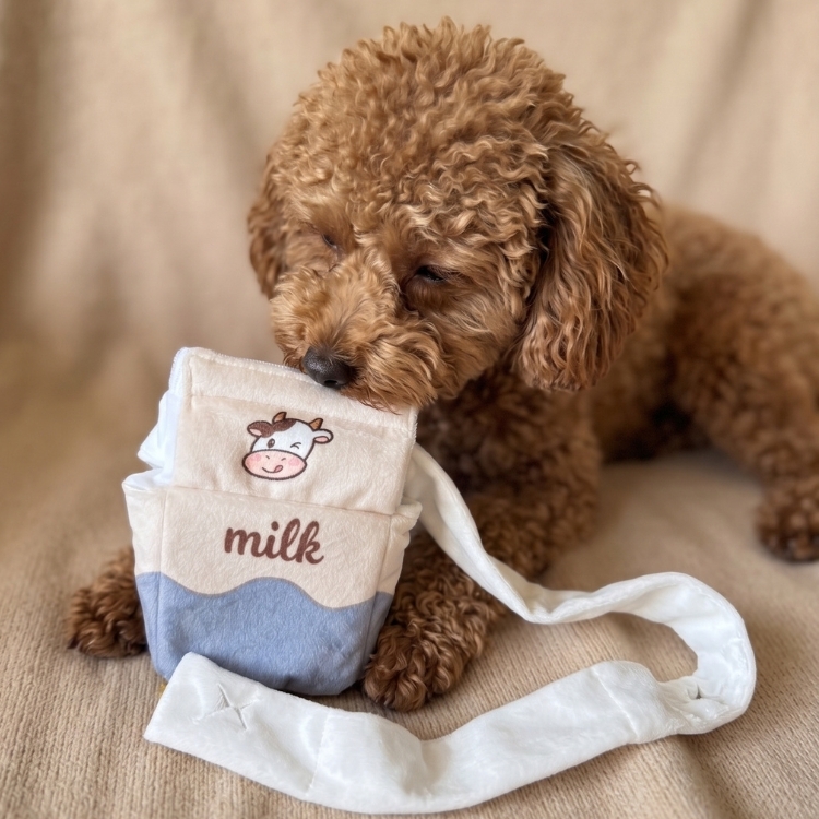 Hide & Seek Milk Box