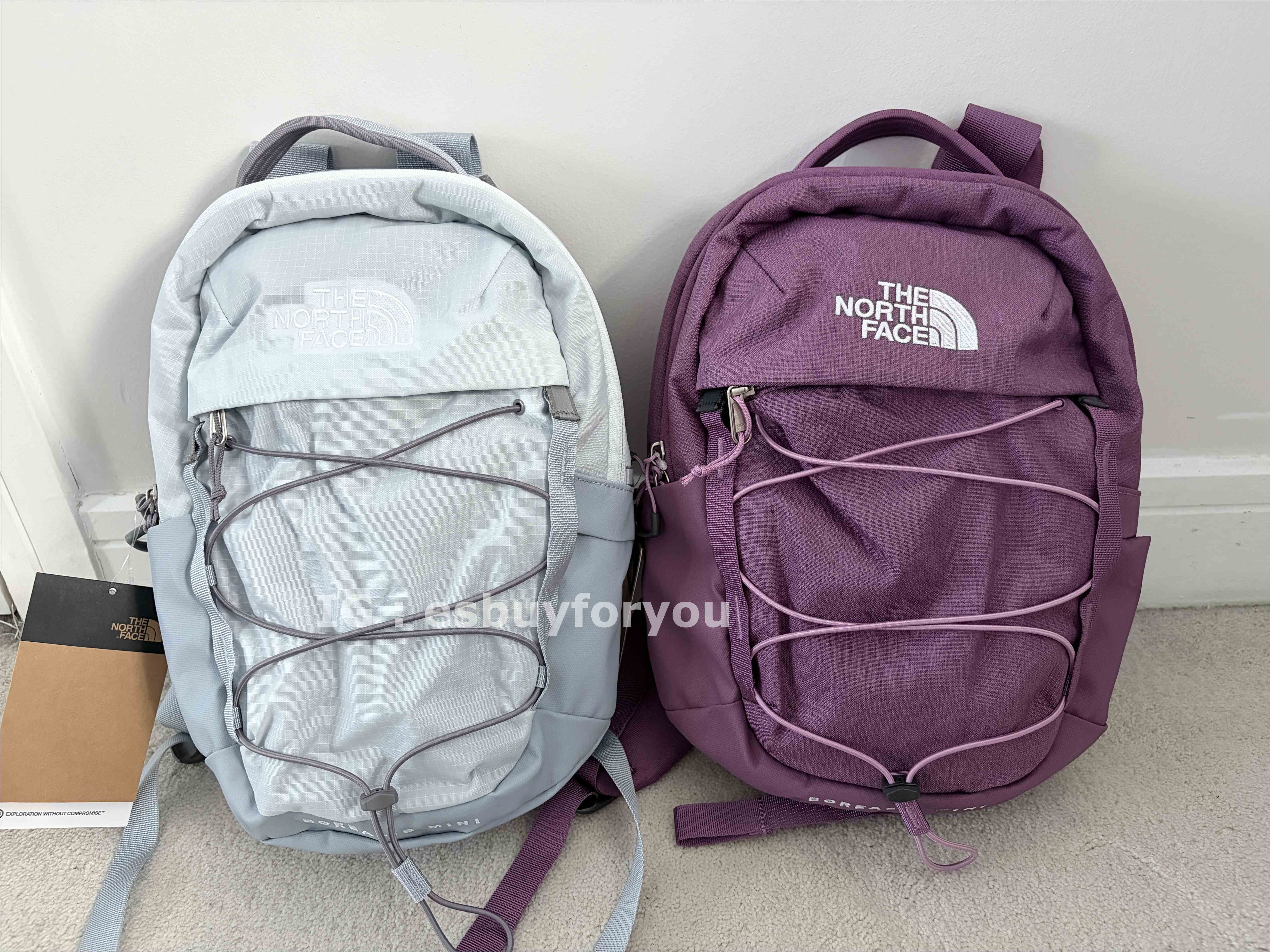 THE NORTH FACE Mini Borealis 後背包 (2色)