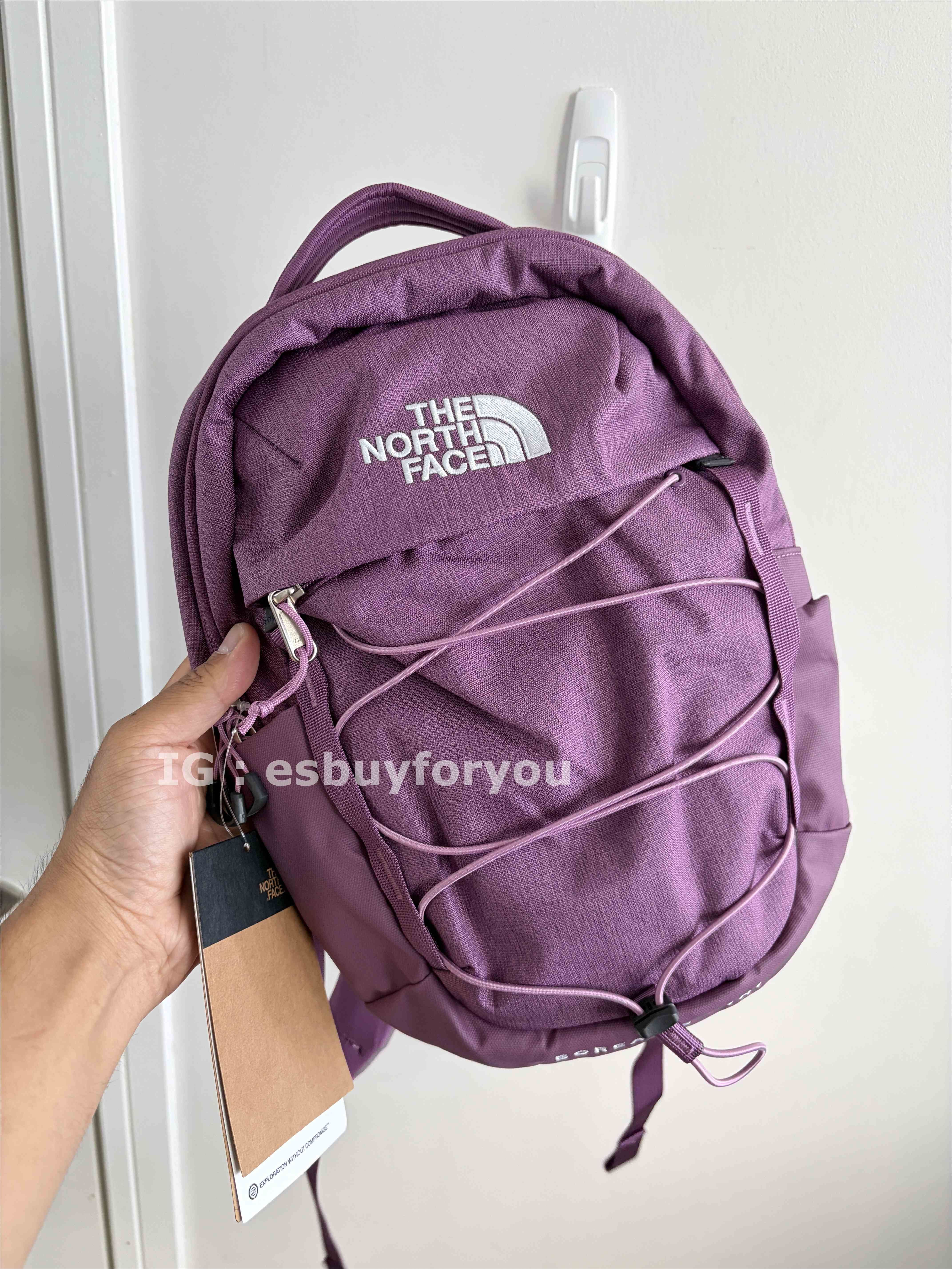 THE NORTH FACE Mini Borealis 後背包 (2色)
