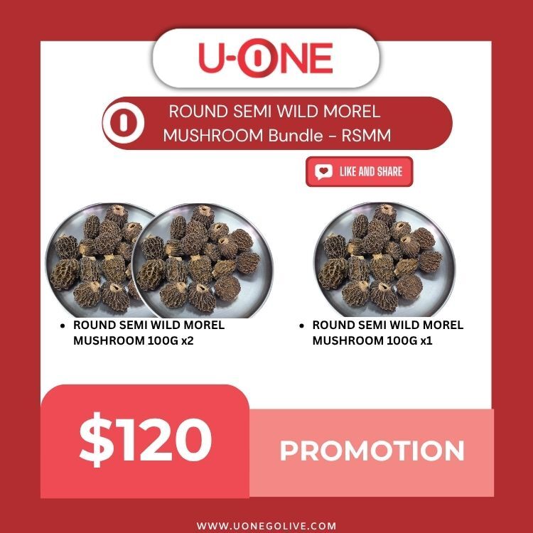 ROUND SEMI WILD MOREL MUSHROOM Bundle - RSMM