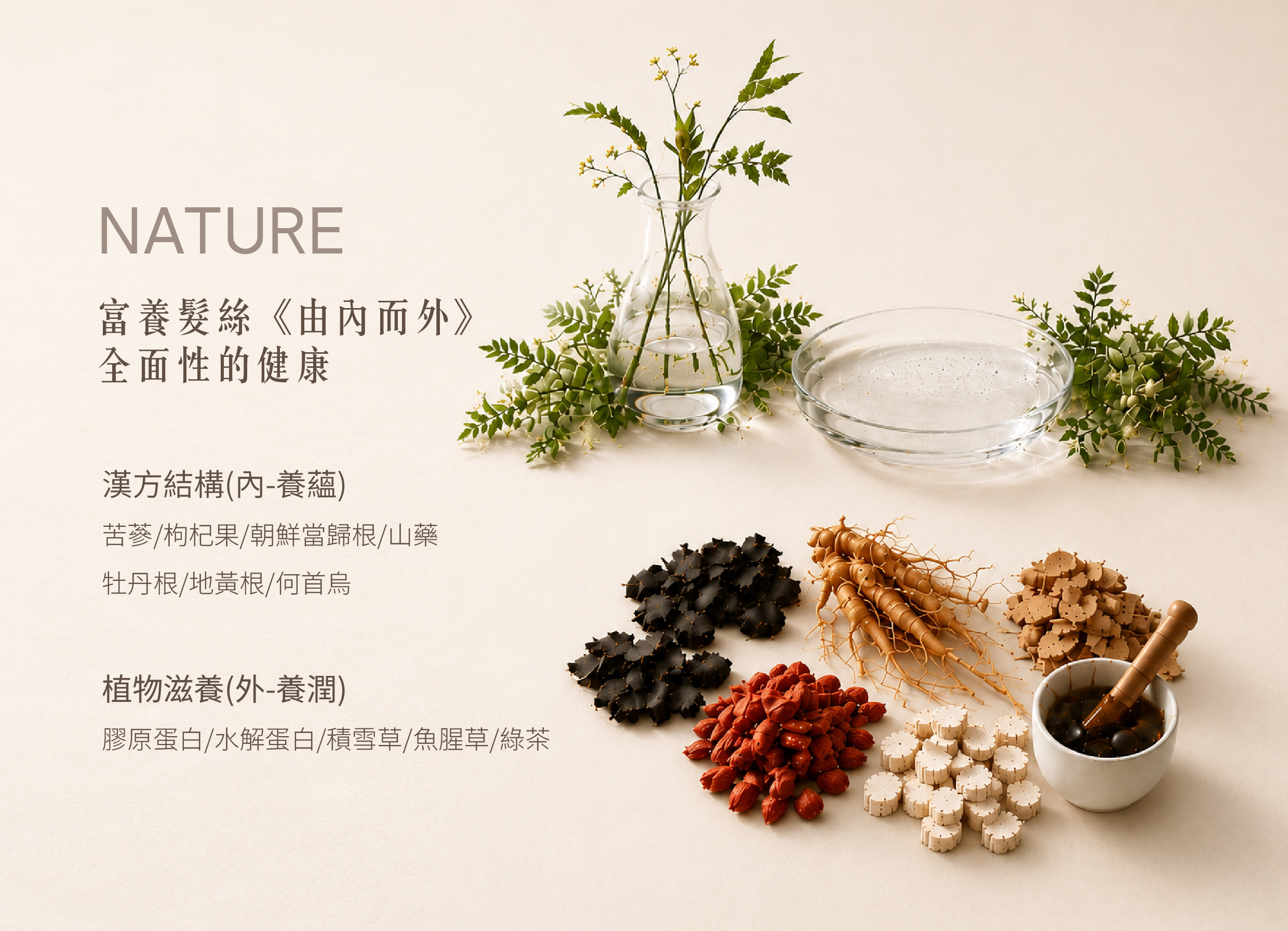 金韓今品牌理念