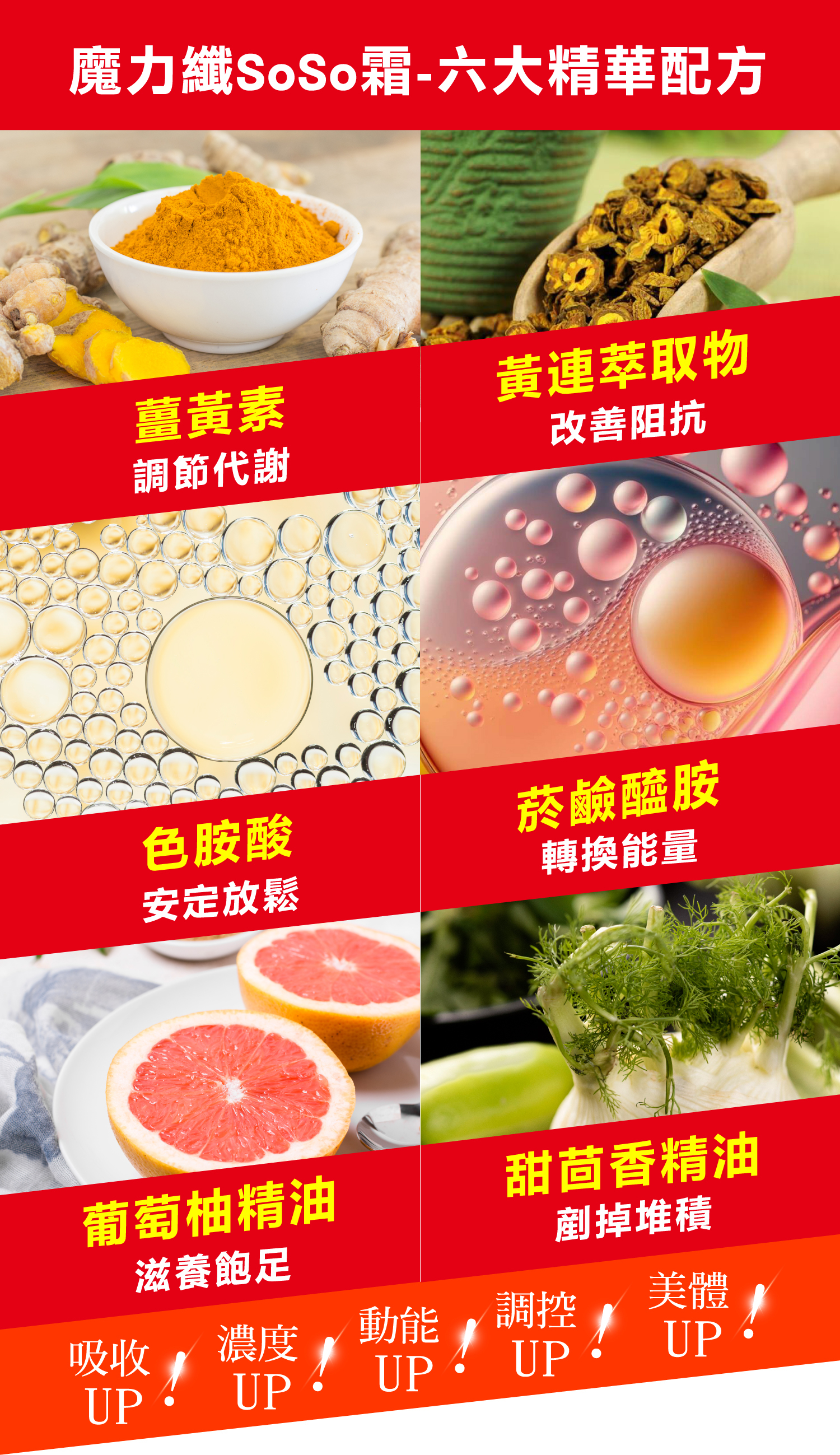 台灣 SPPT長青 促進代謝