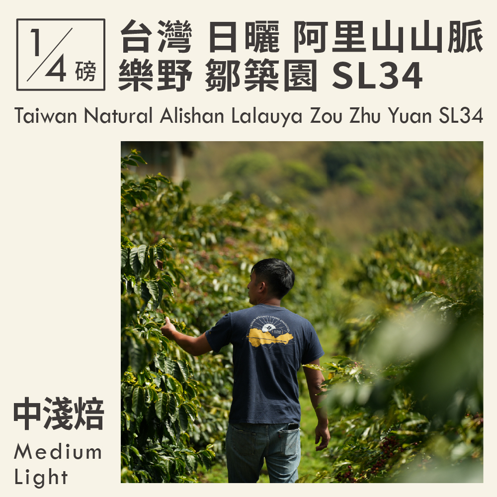 台灣 日曬 阿里山山脈 樂野 鄒築園 SL34  0.25磅