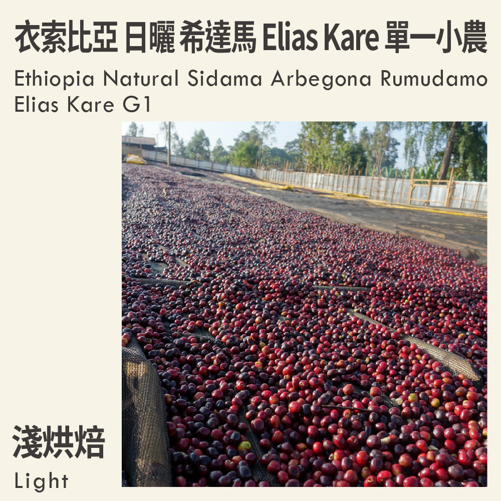衣索比亞 日曬 希達馬 阿貝果納 魯穆達莫村 Elias Kare 單一小農 G1
