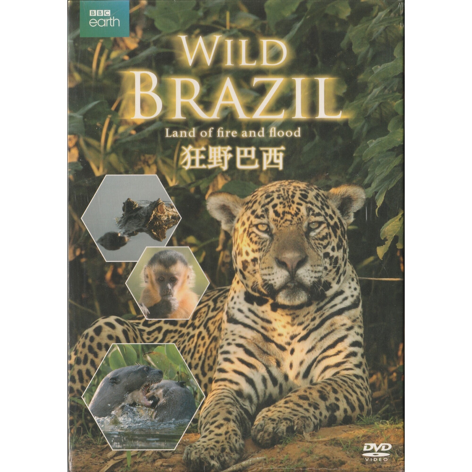狂野巴西 (DVD)
