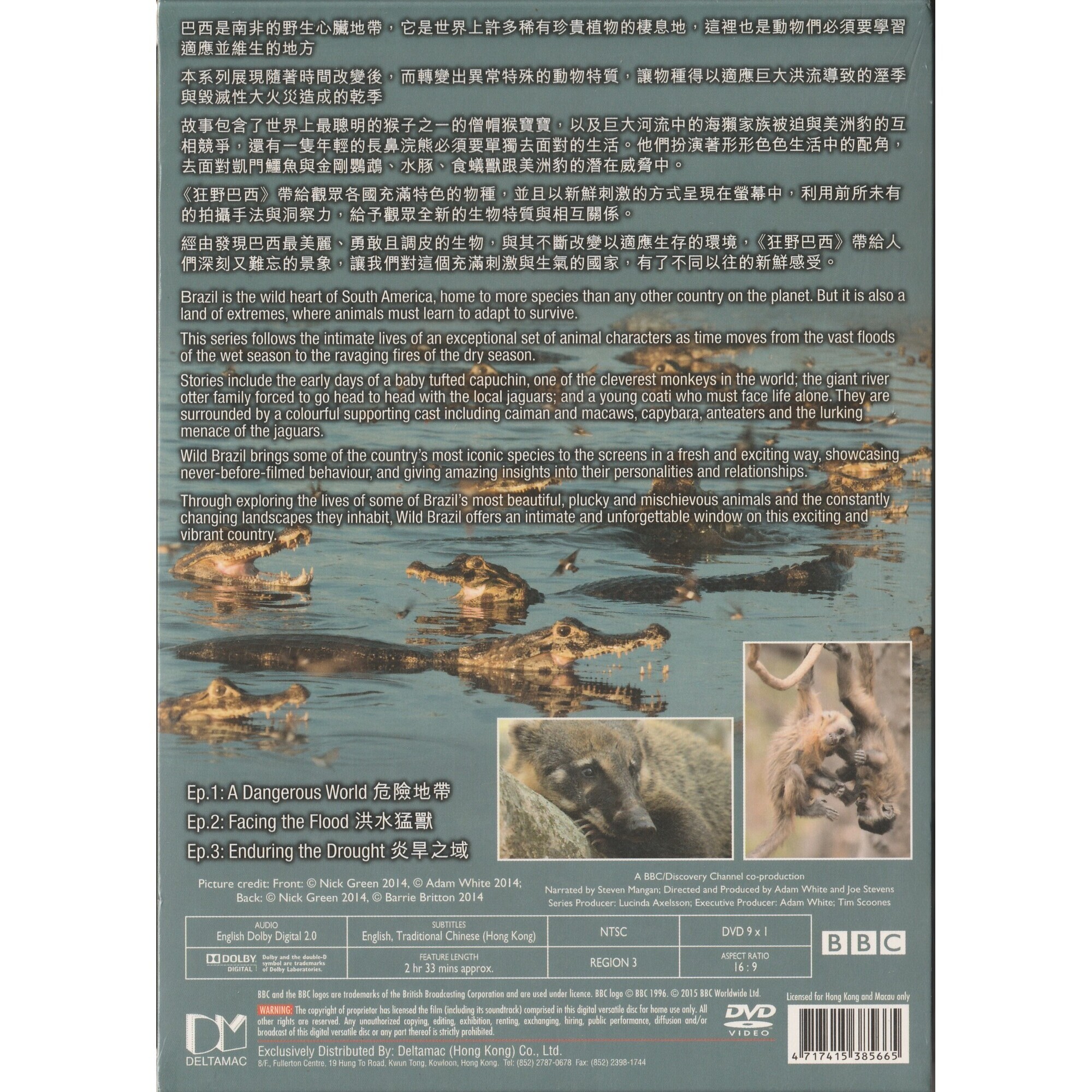 狂野巴西 (DVD)