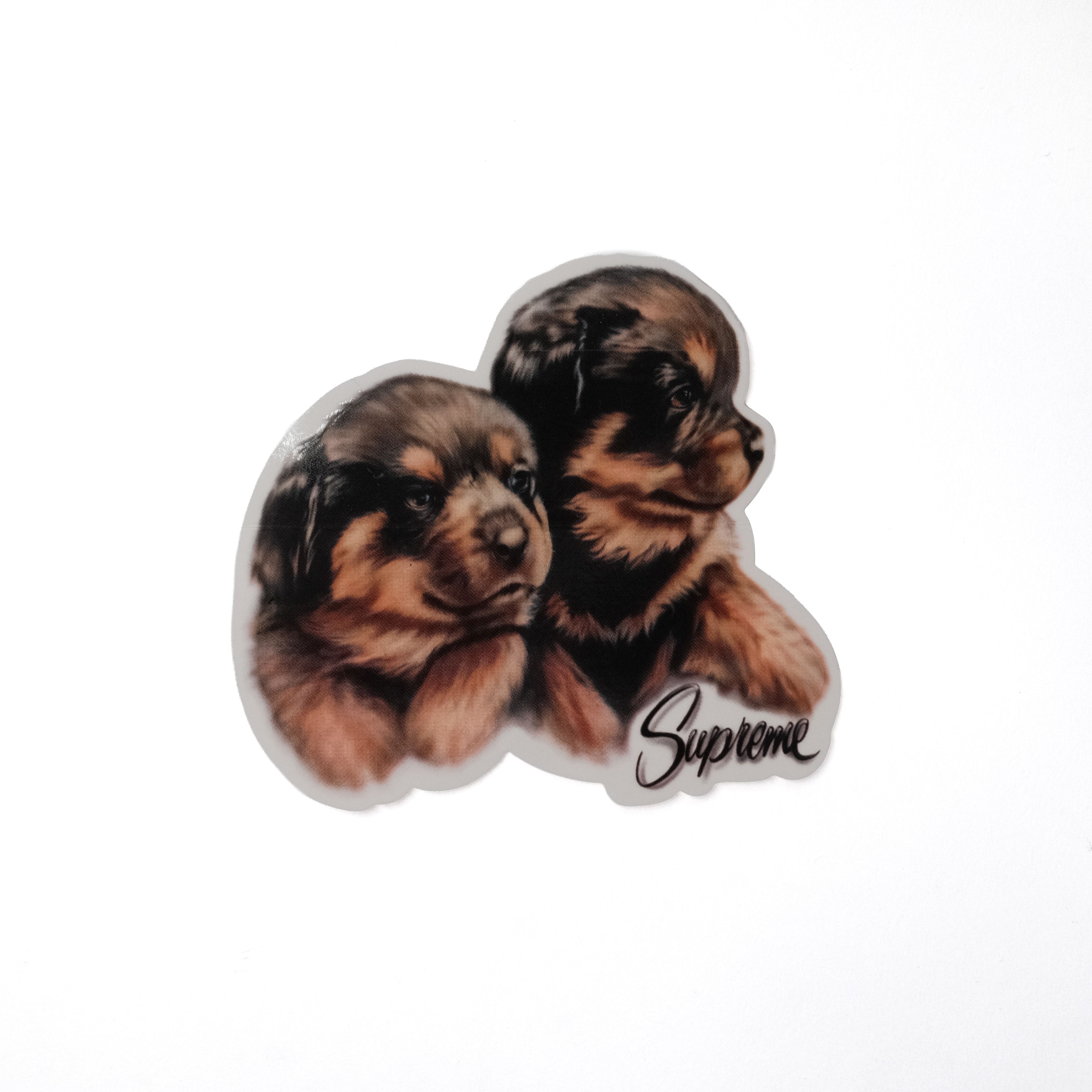 SUPREME PUPPIES STICKER 狗狗貼紙