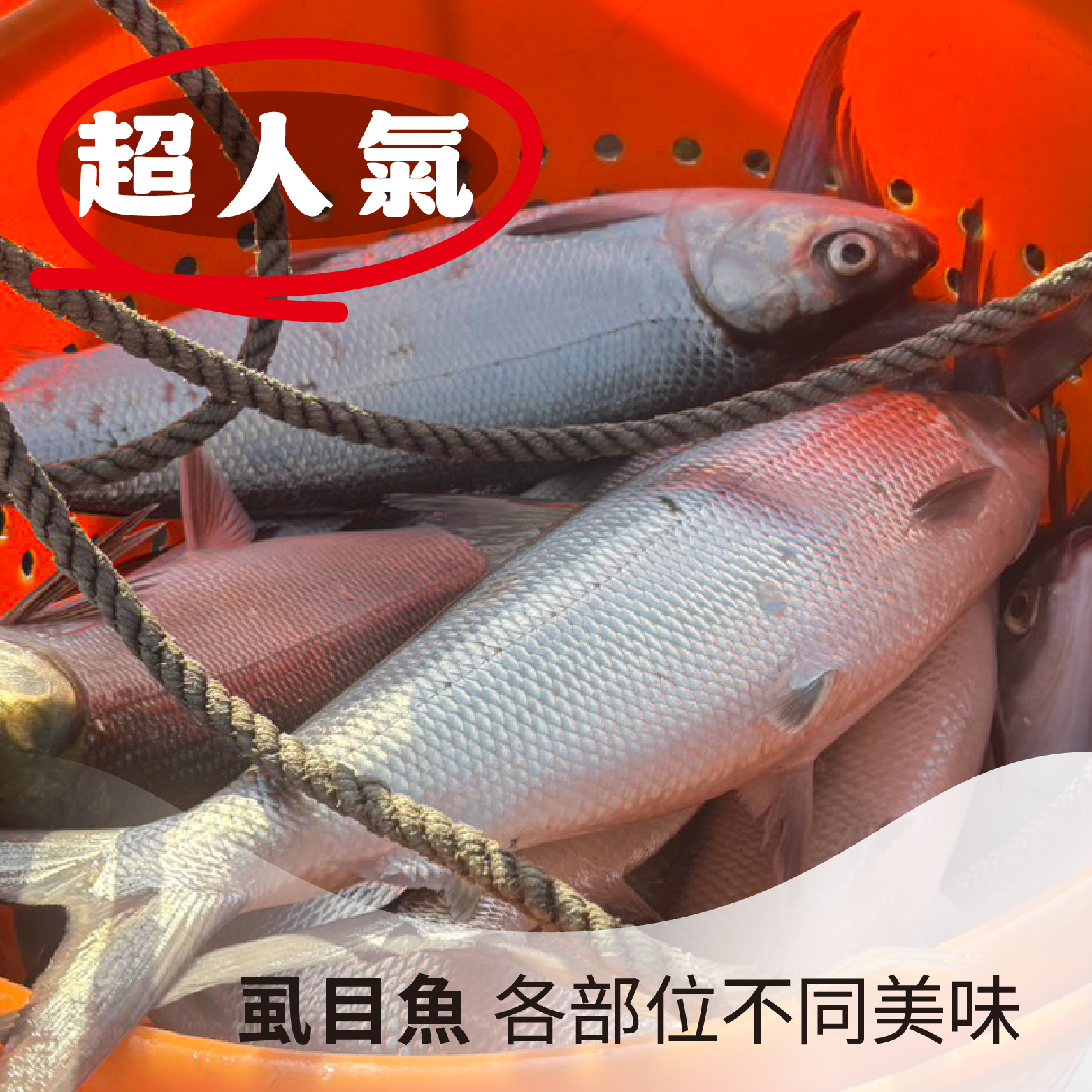 【台灣家魚】虱目魚肚｜雲林口湖半鹹水養殖，油脂香氣濃郁《每片350-400克》